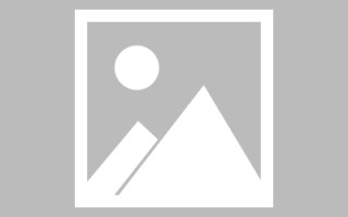 淄博东方网站搭建哪家好（东方网址是什么）
